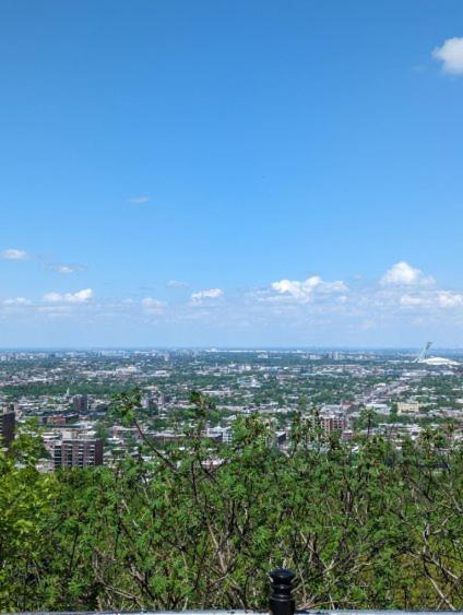 Orchid Lodgement Montréal Exteriör bild